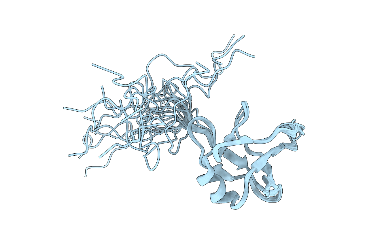 2N4P image