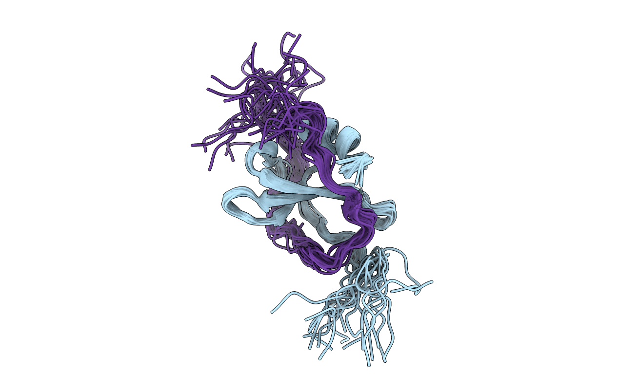 2N55 image