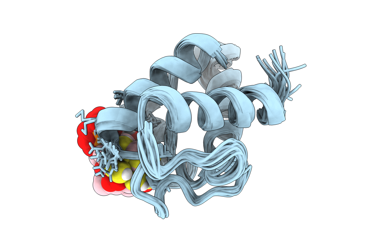 2N5H image
