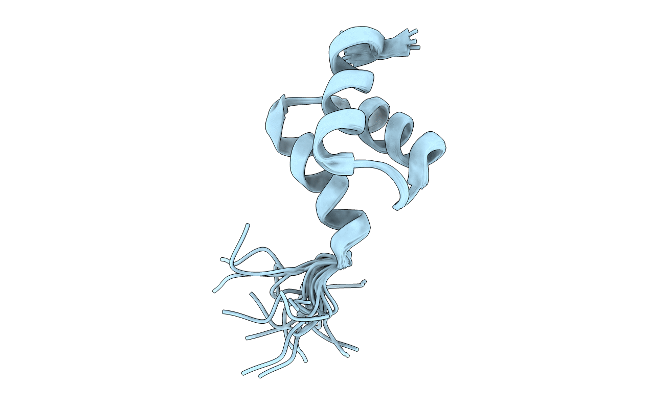 2N5J image