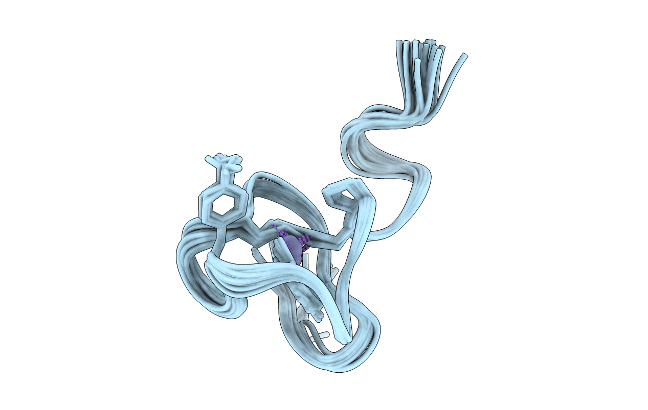 2N5K image