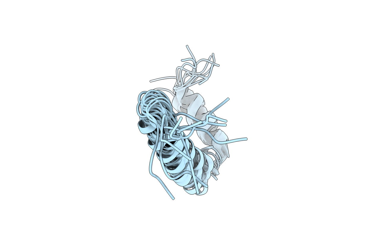 2N5S image