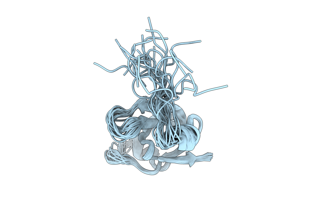 2N5U image