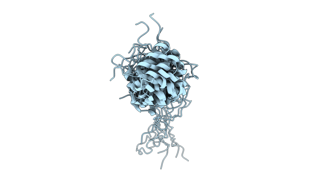2N5X image