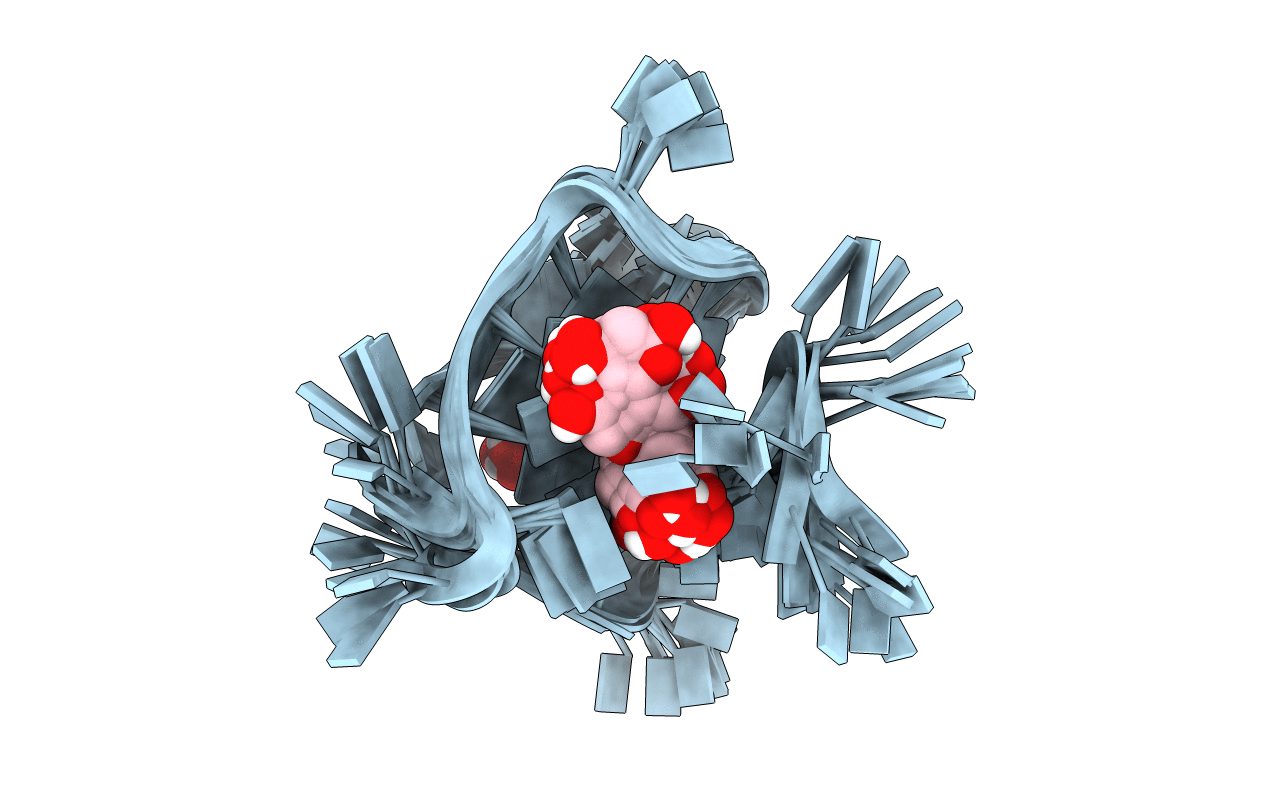 2N6C image
