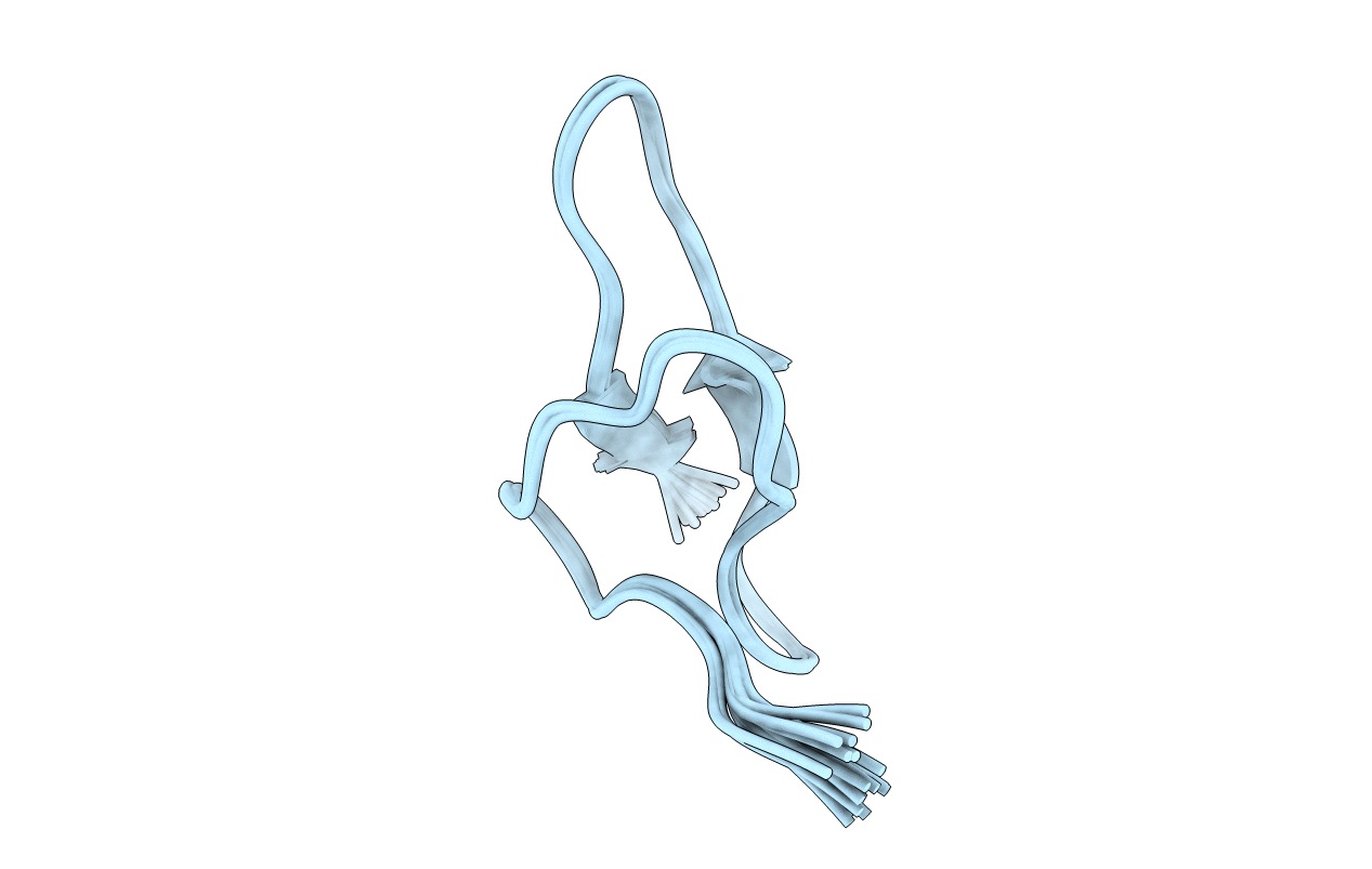 2N6N image