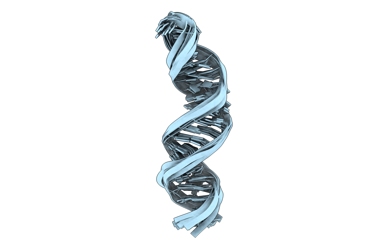 2N6T image