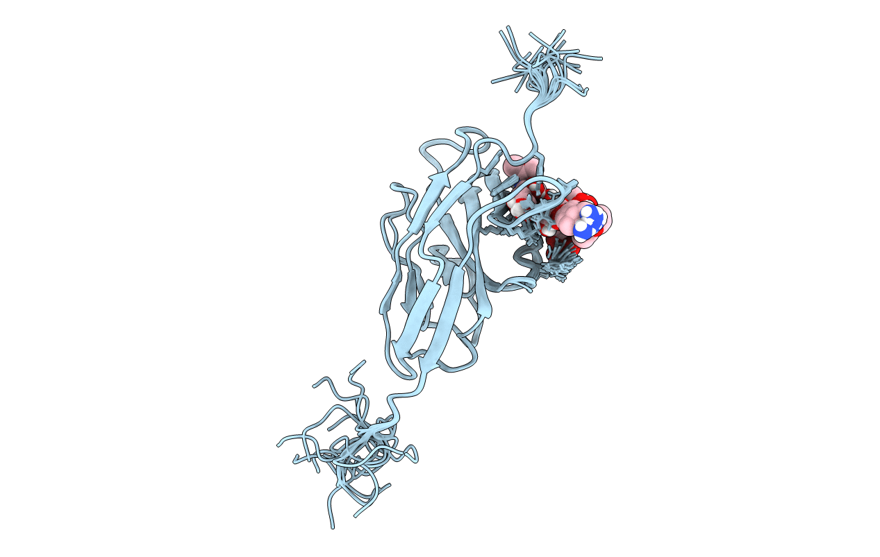 2N7B image