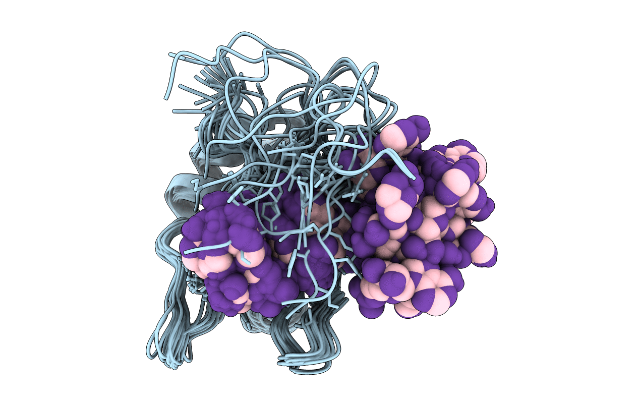 2N7C image