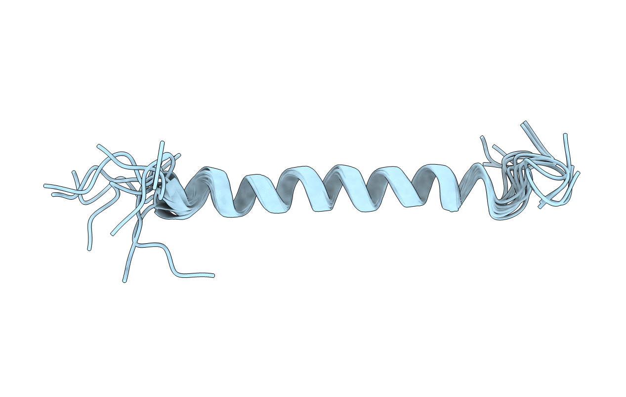 2N7I image