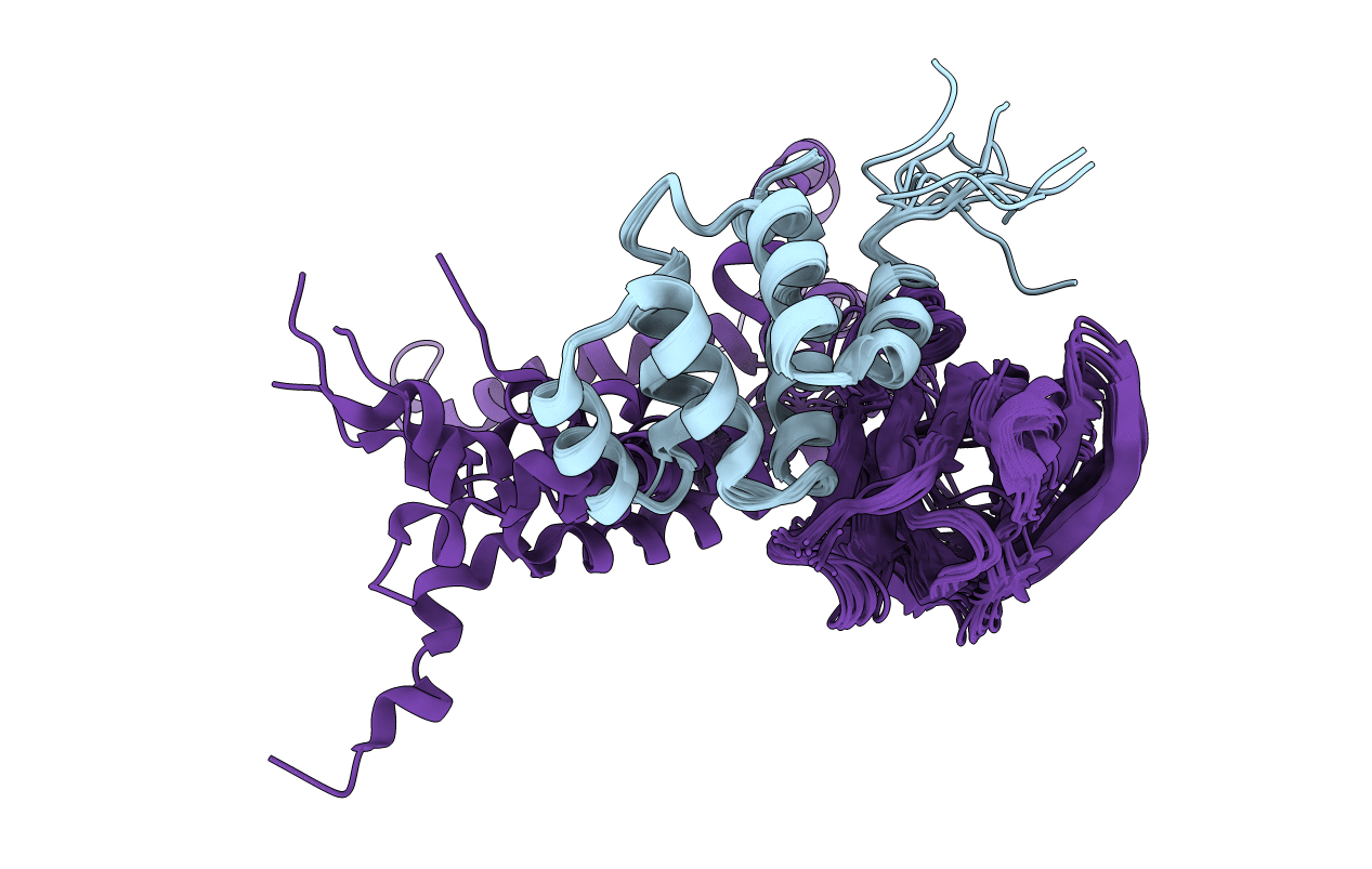 2N80 image