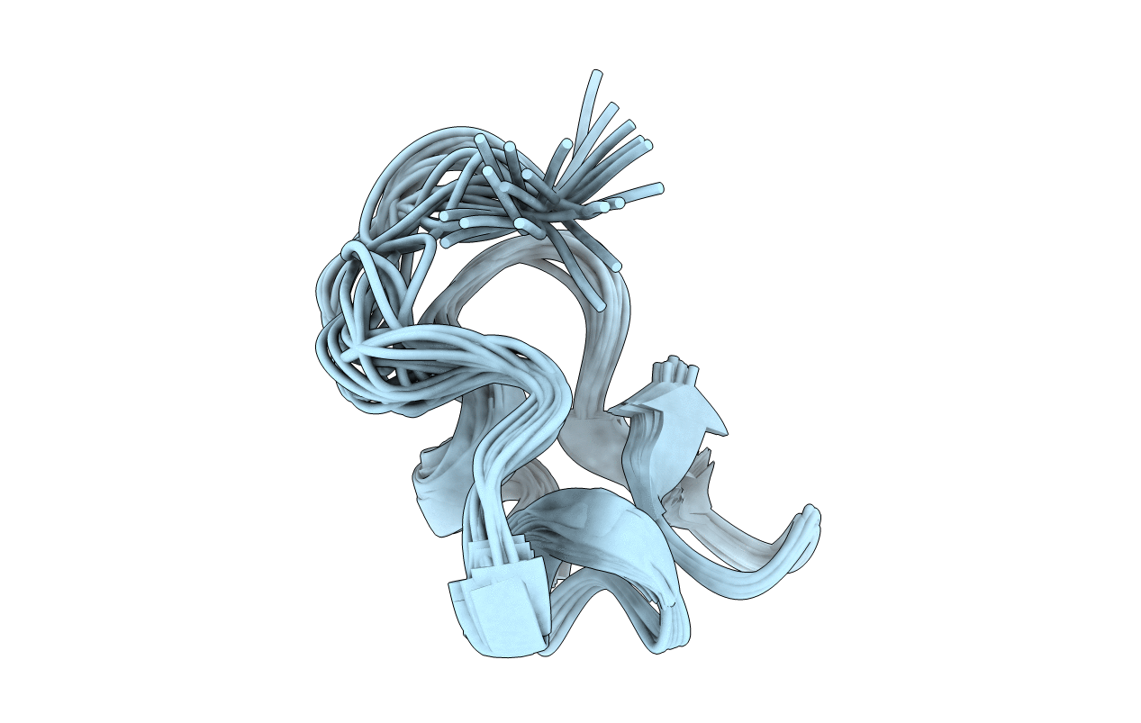 2N8B image
