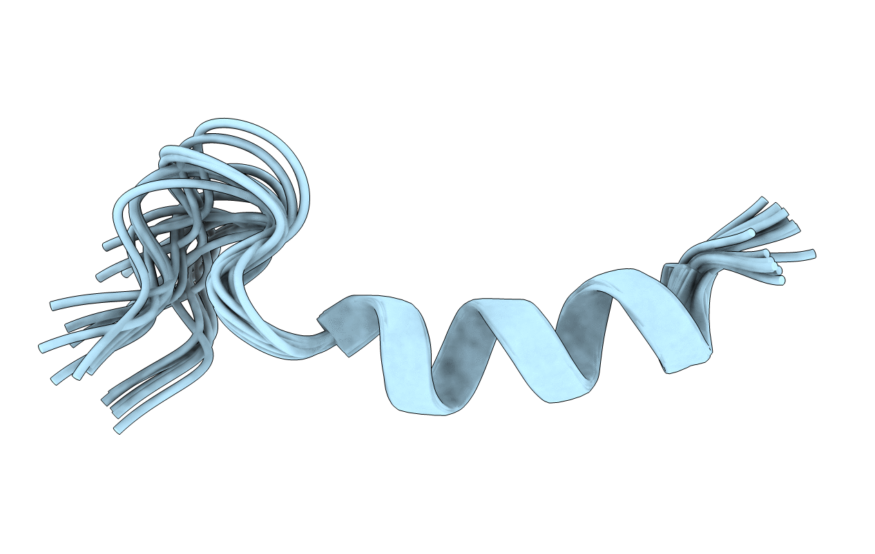 2N8D image