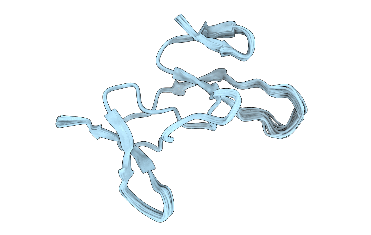 2N8K image