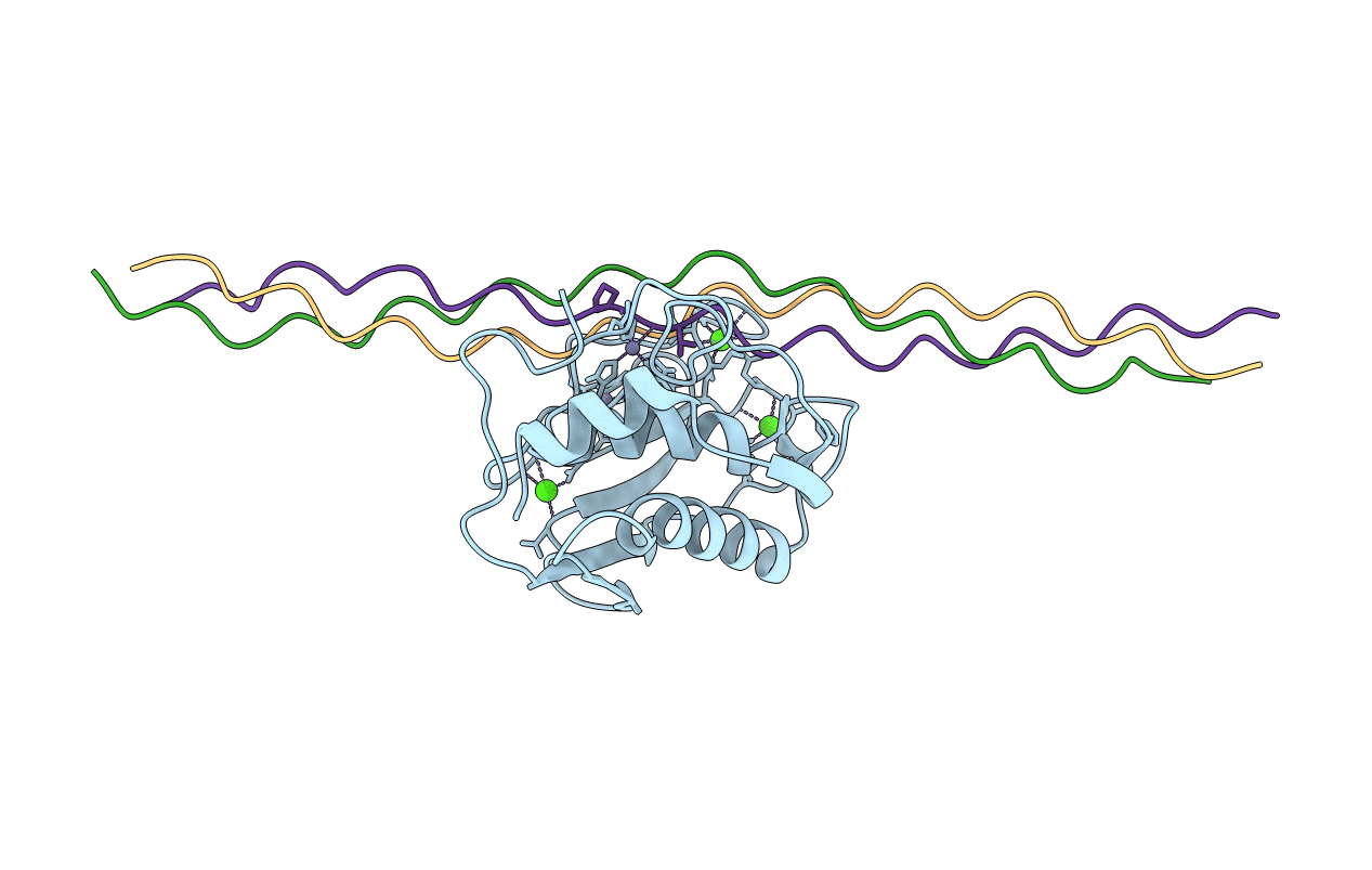 2N8R image