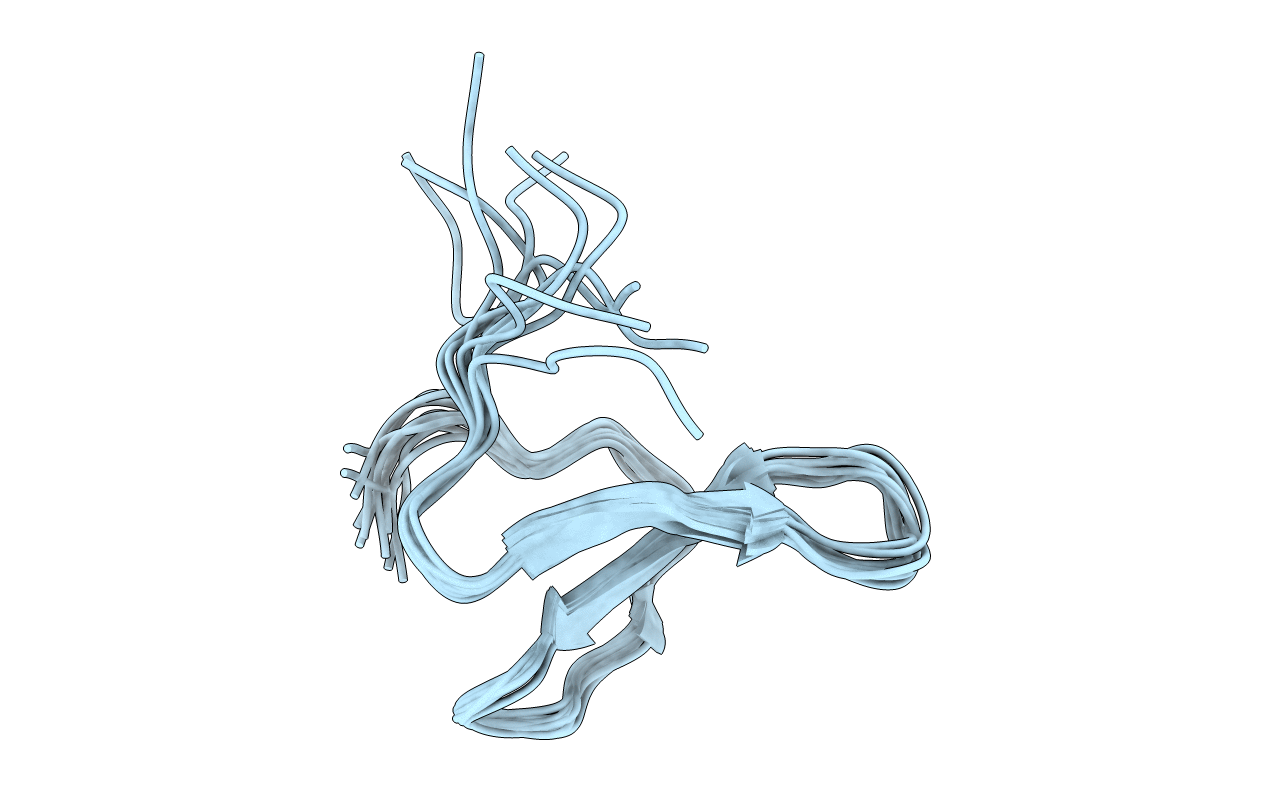 2N8S image