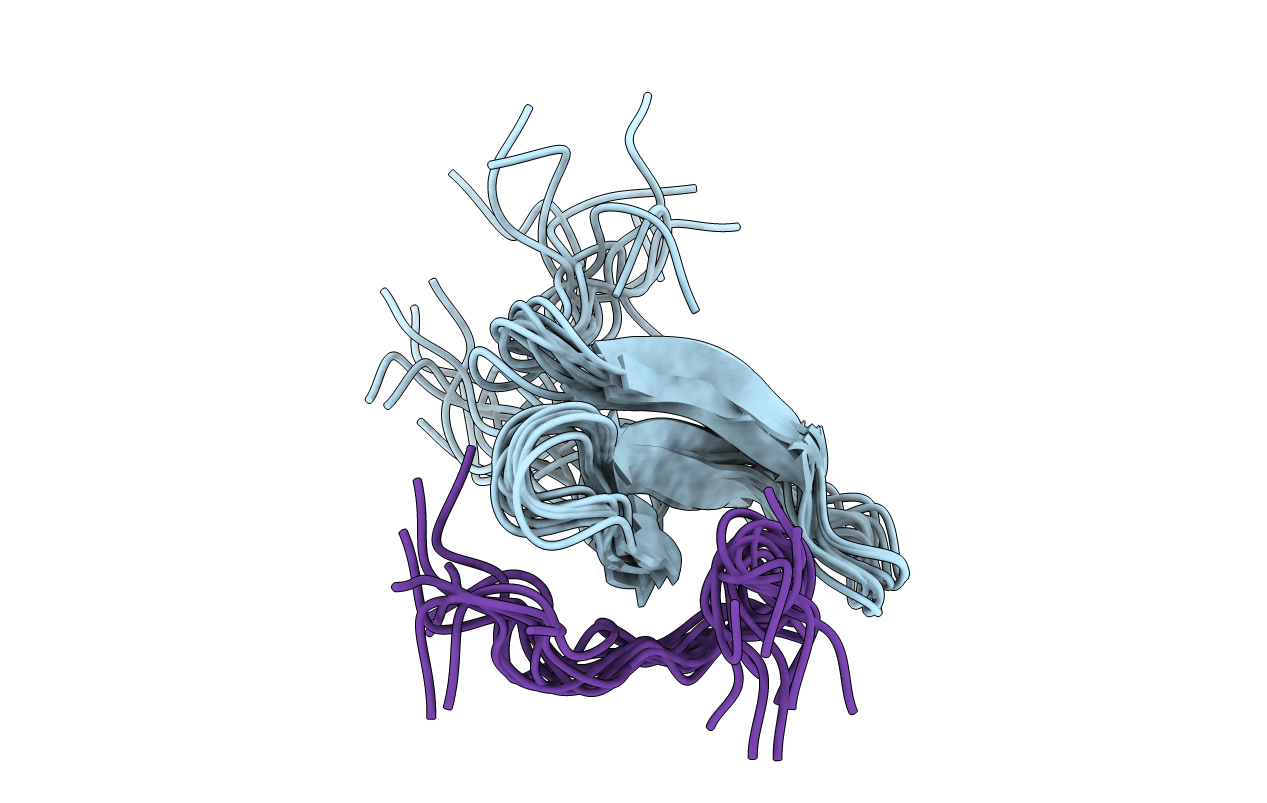 2N8T image