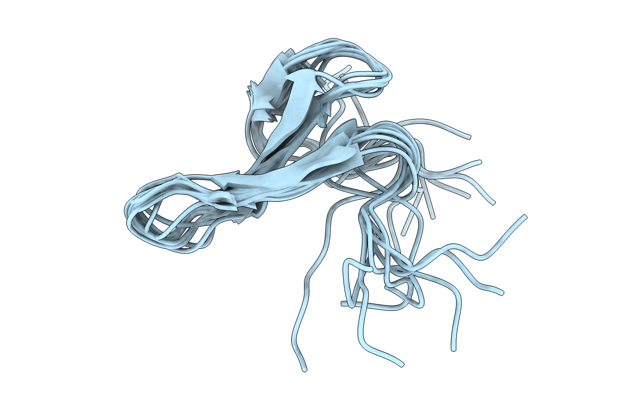 2N8U image