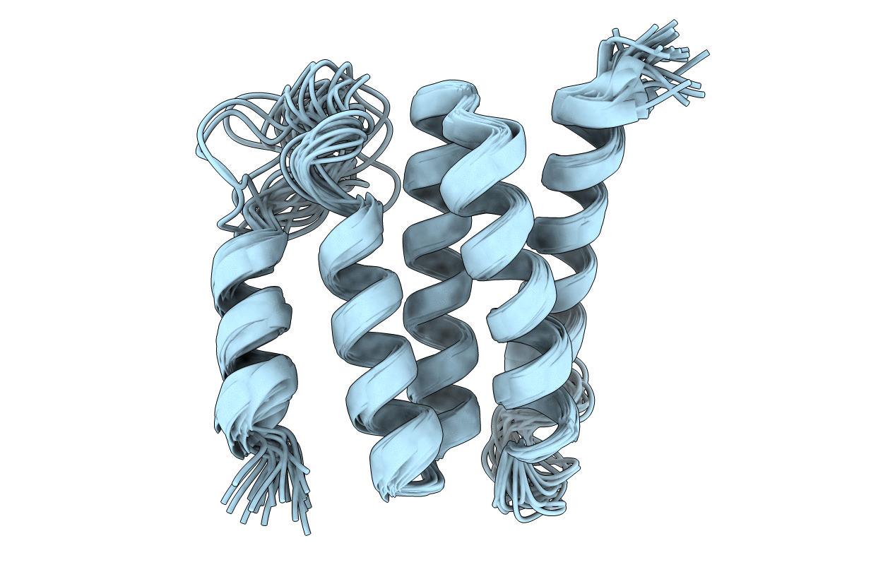 2N8W image