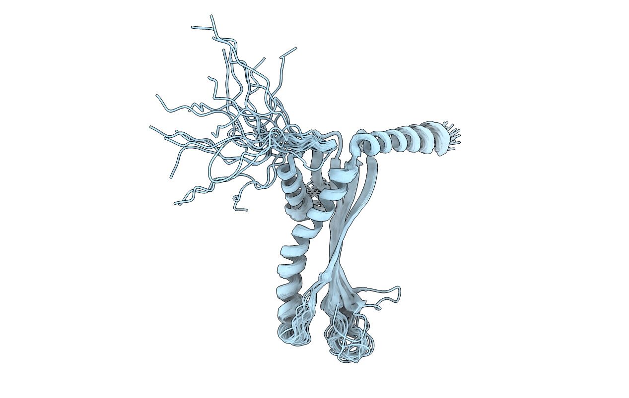 2N8X image