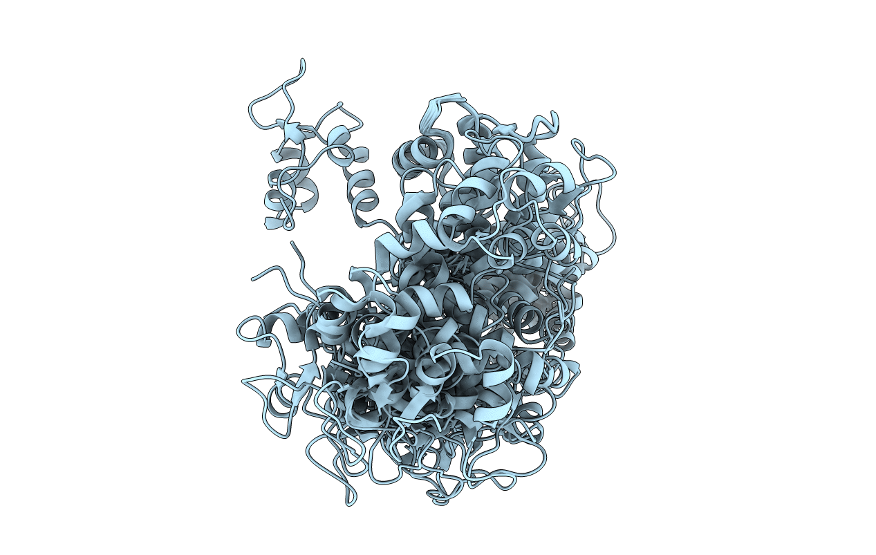 2N8Z image