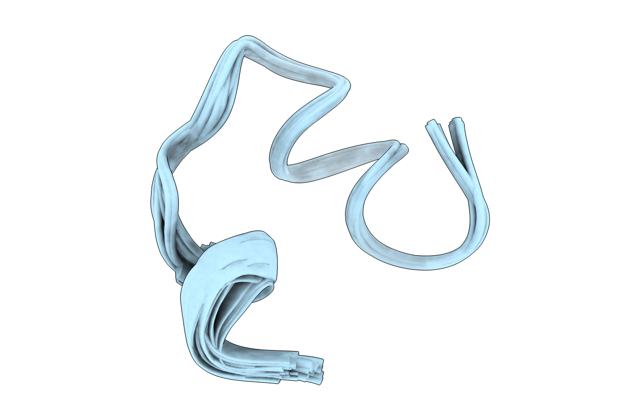 2N9C image