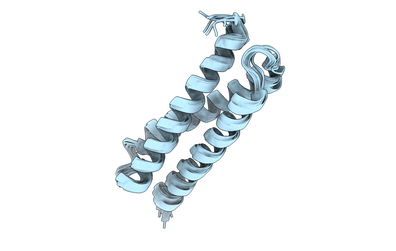 2N9D image
