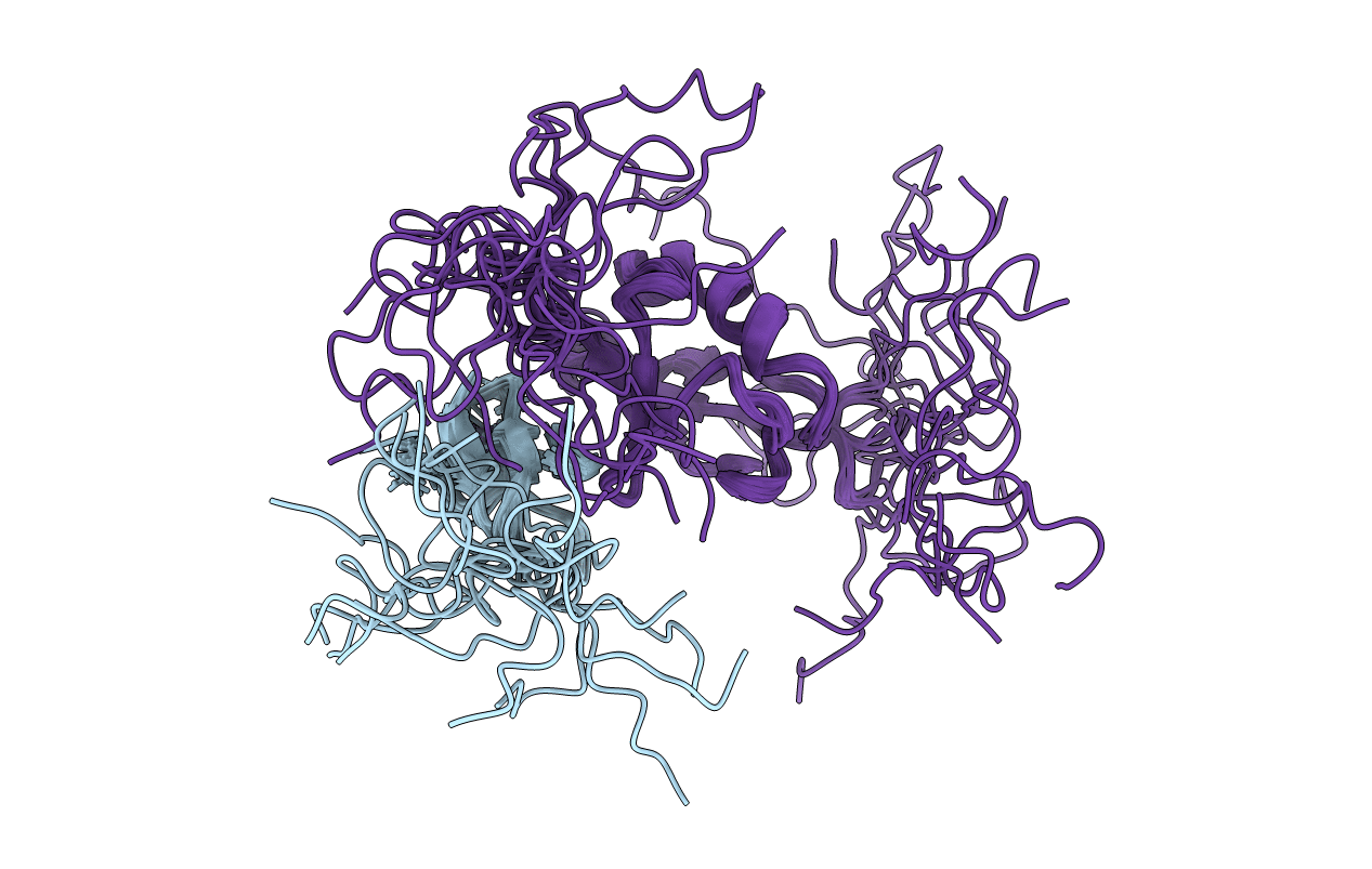 2N9P image