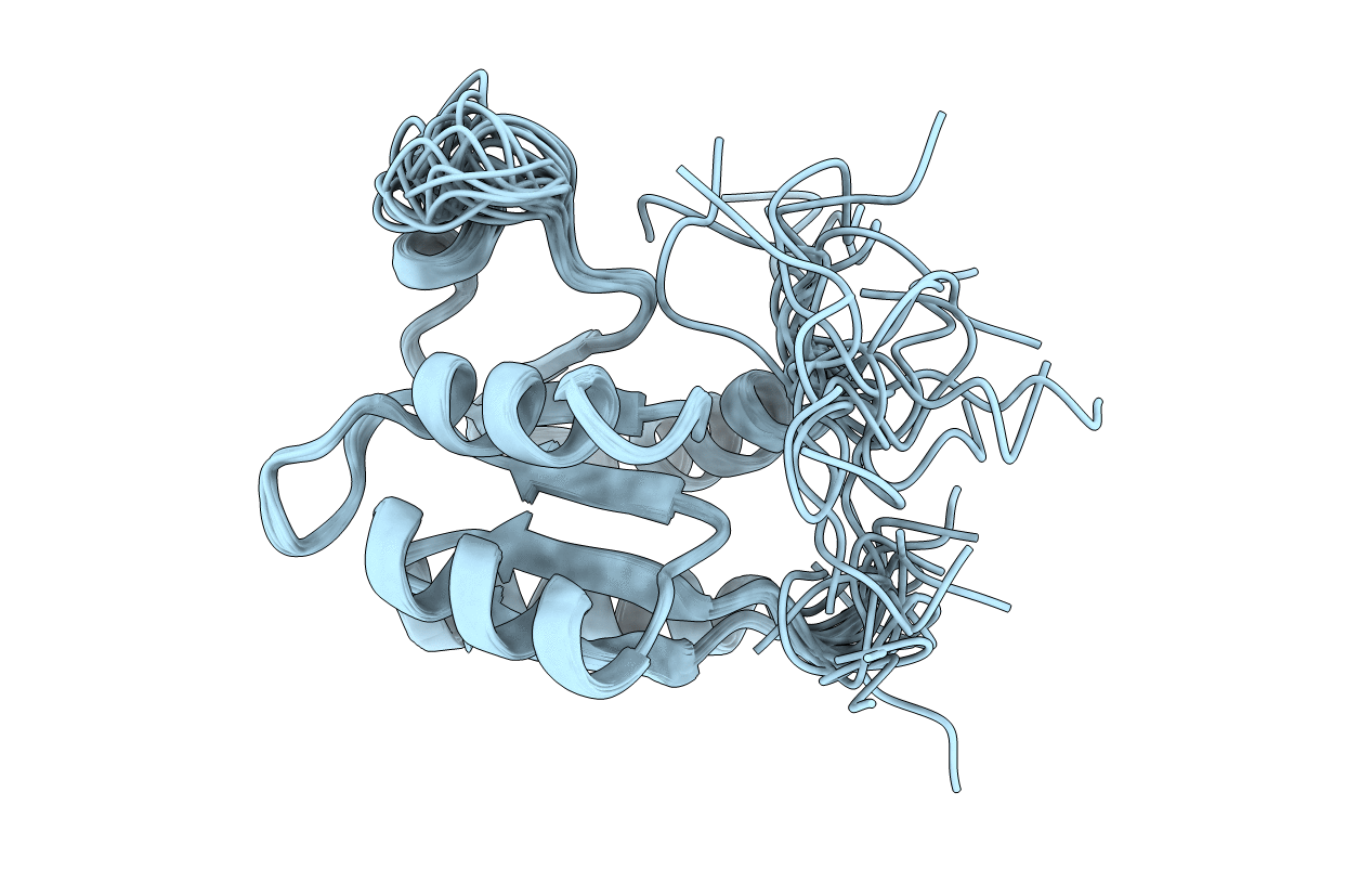 2N9U image