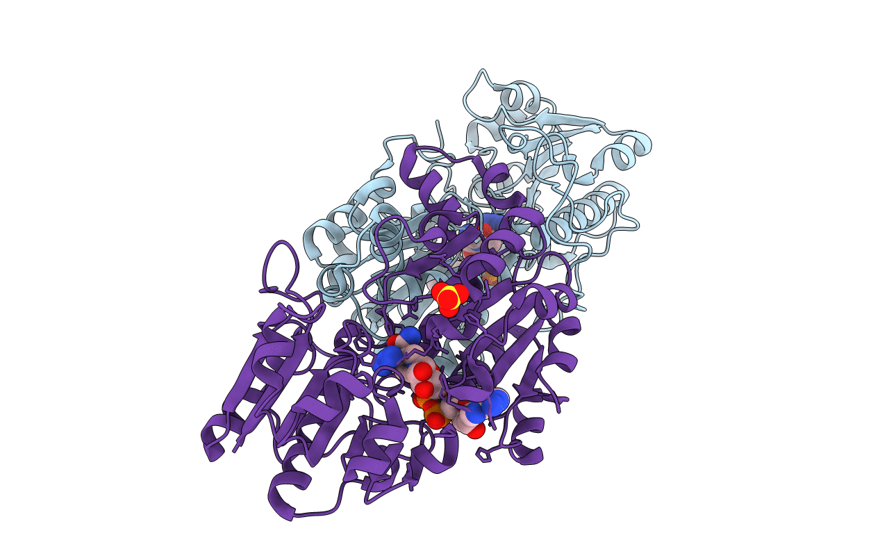 2NAD image