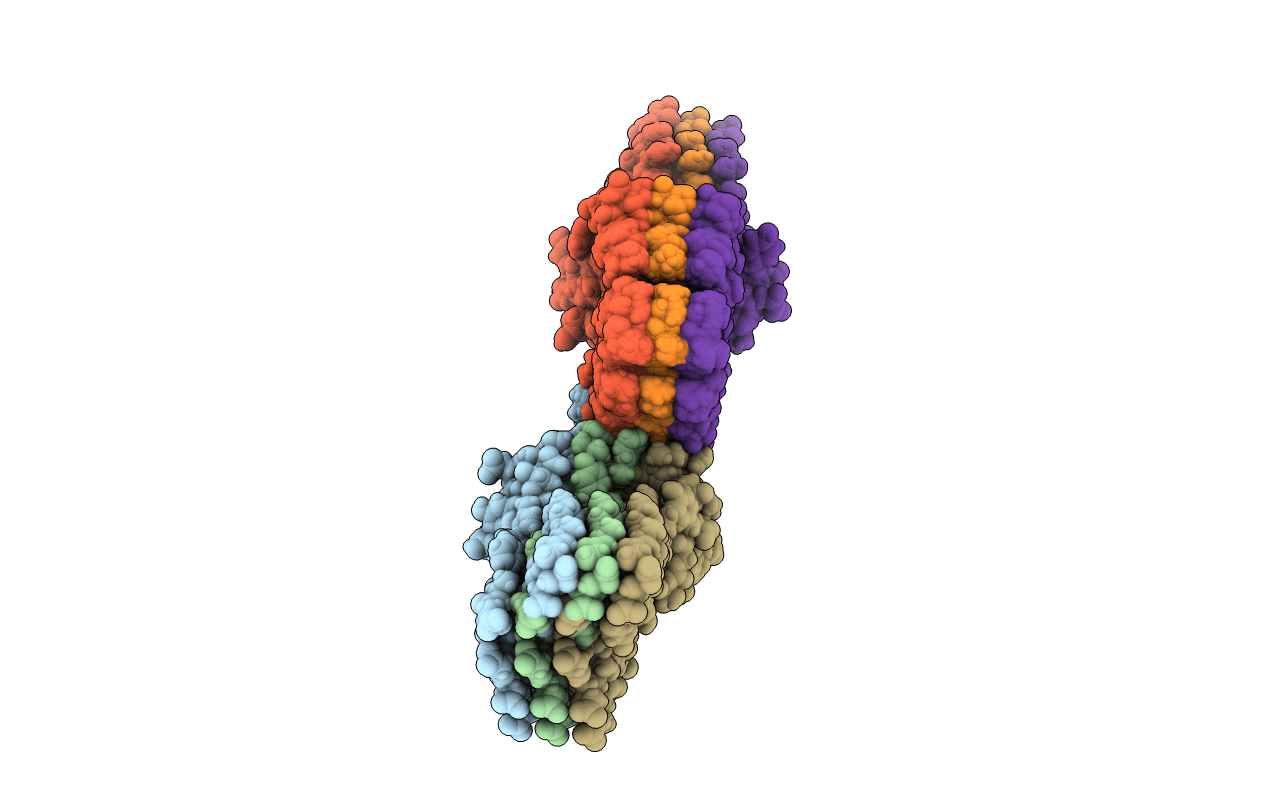 2NAO image