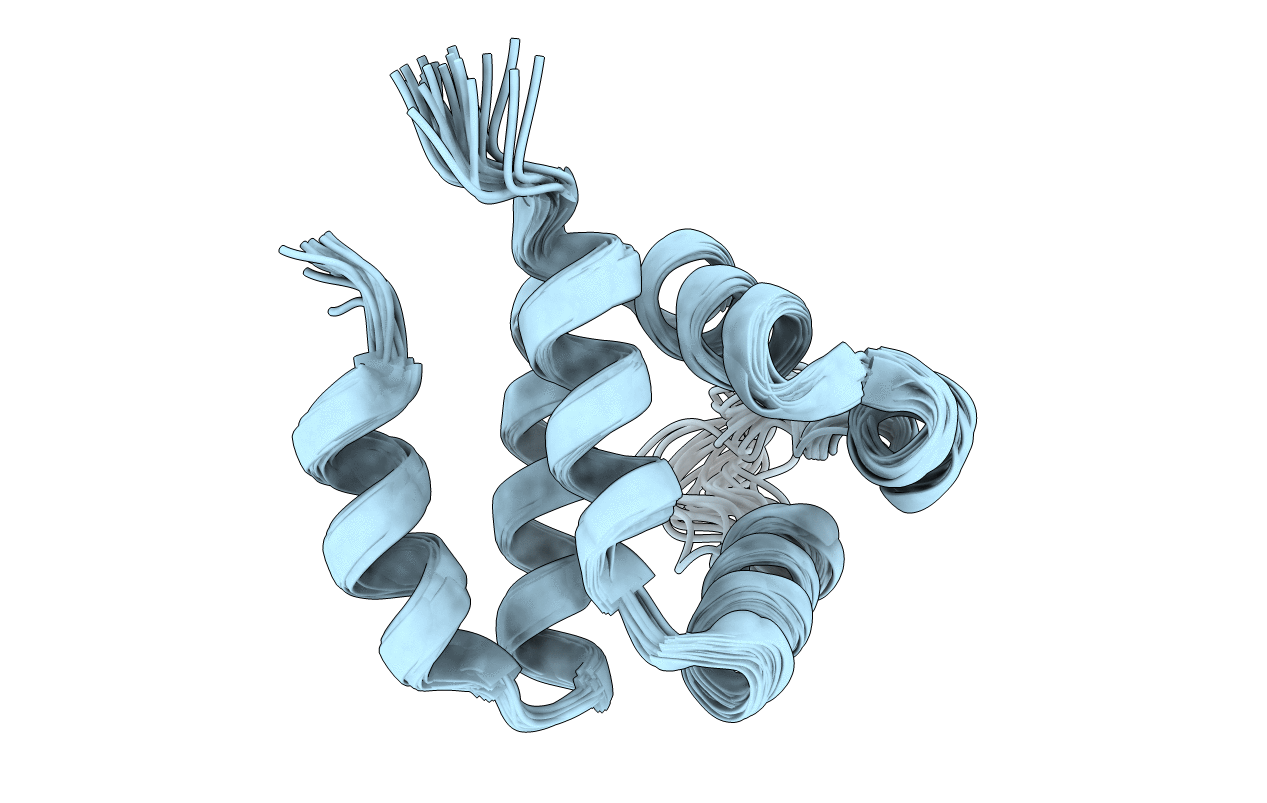 2NAQ image