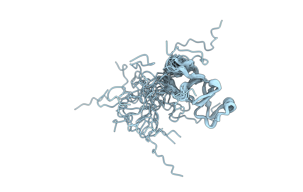 2NBH image