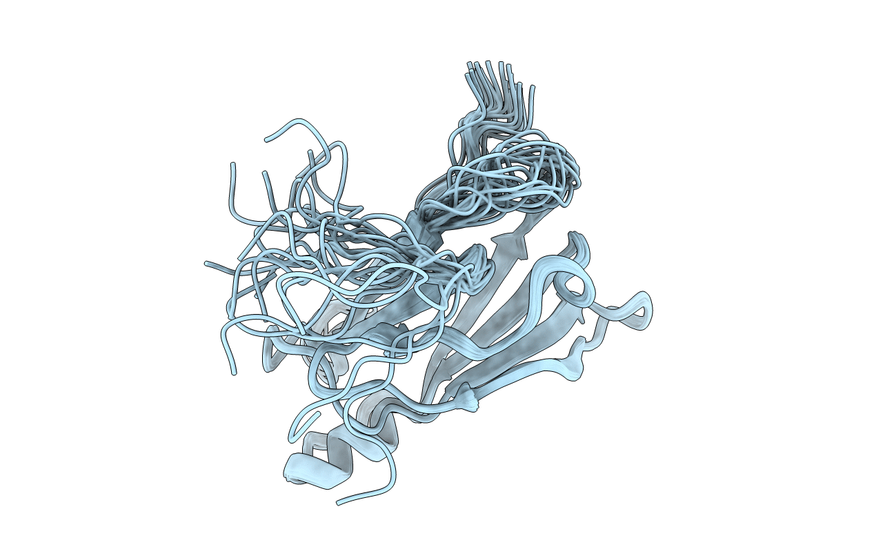 2NBP image