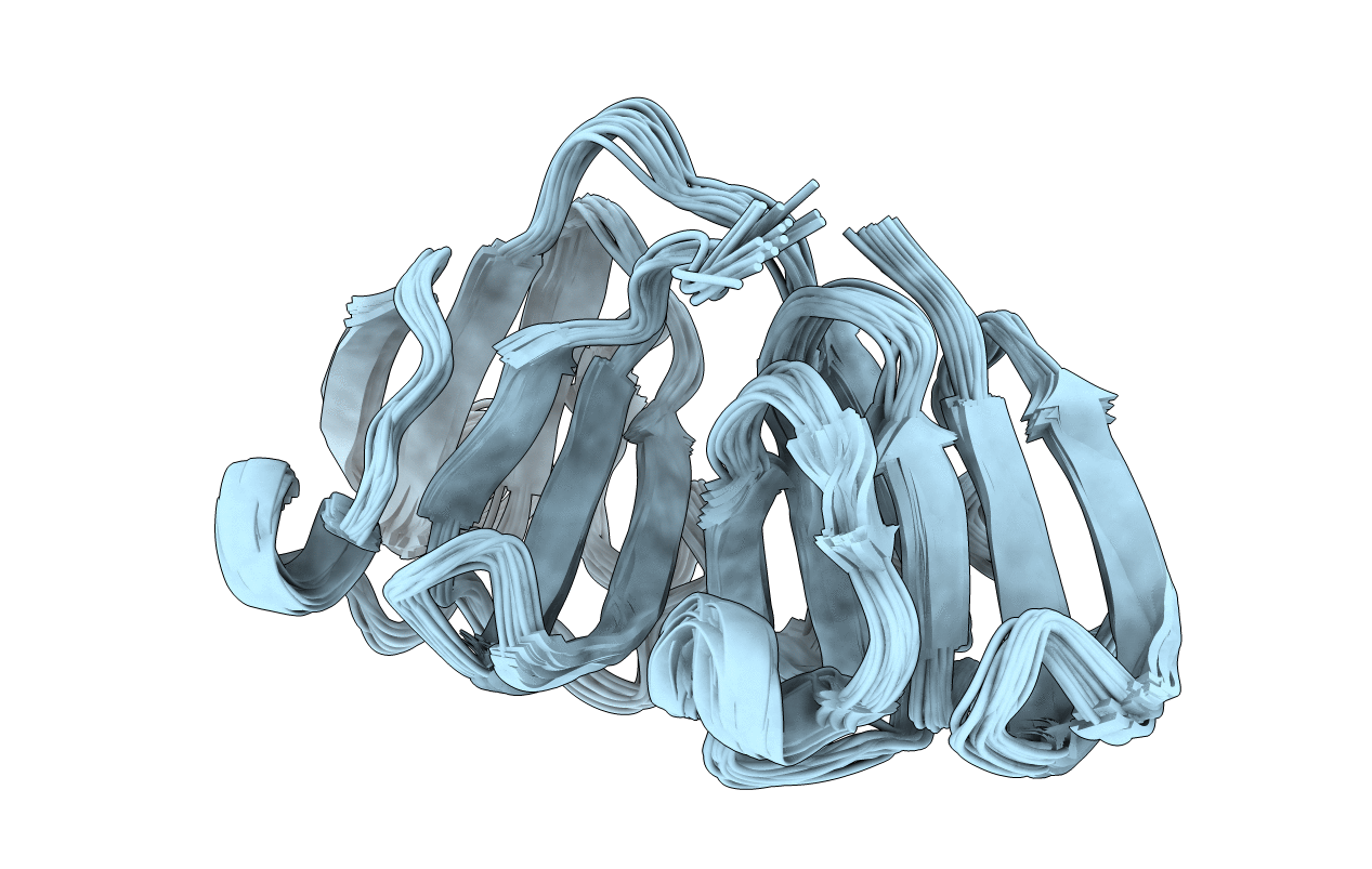 2NBR image