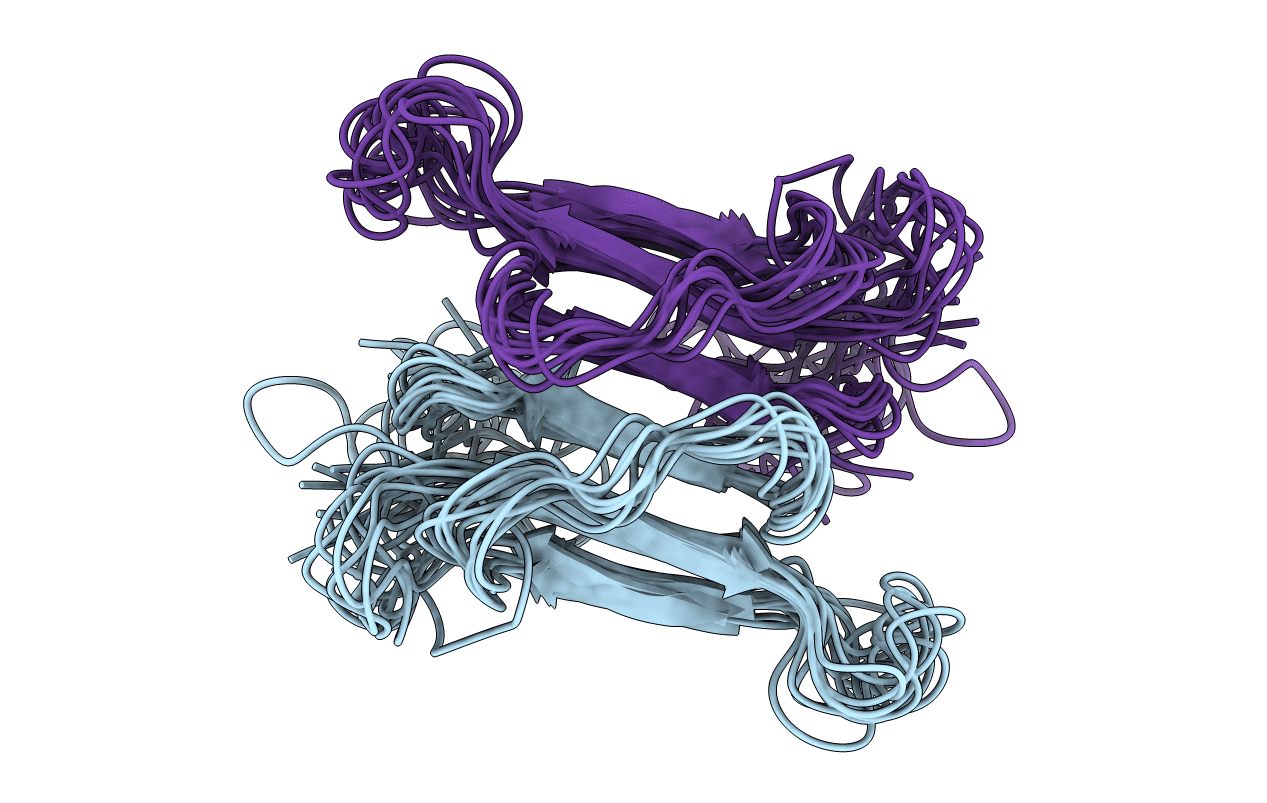 2NBT image