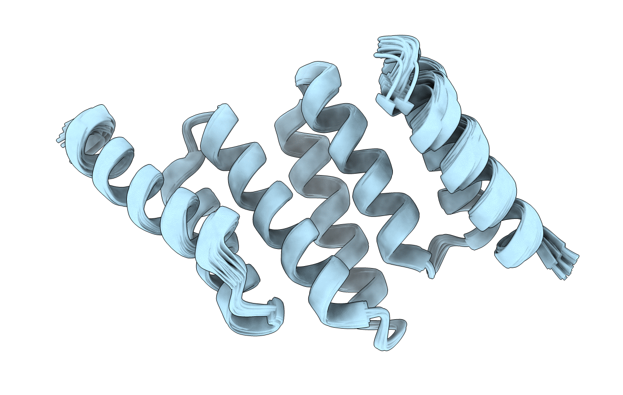 2NC9 image