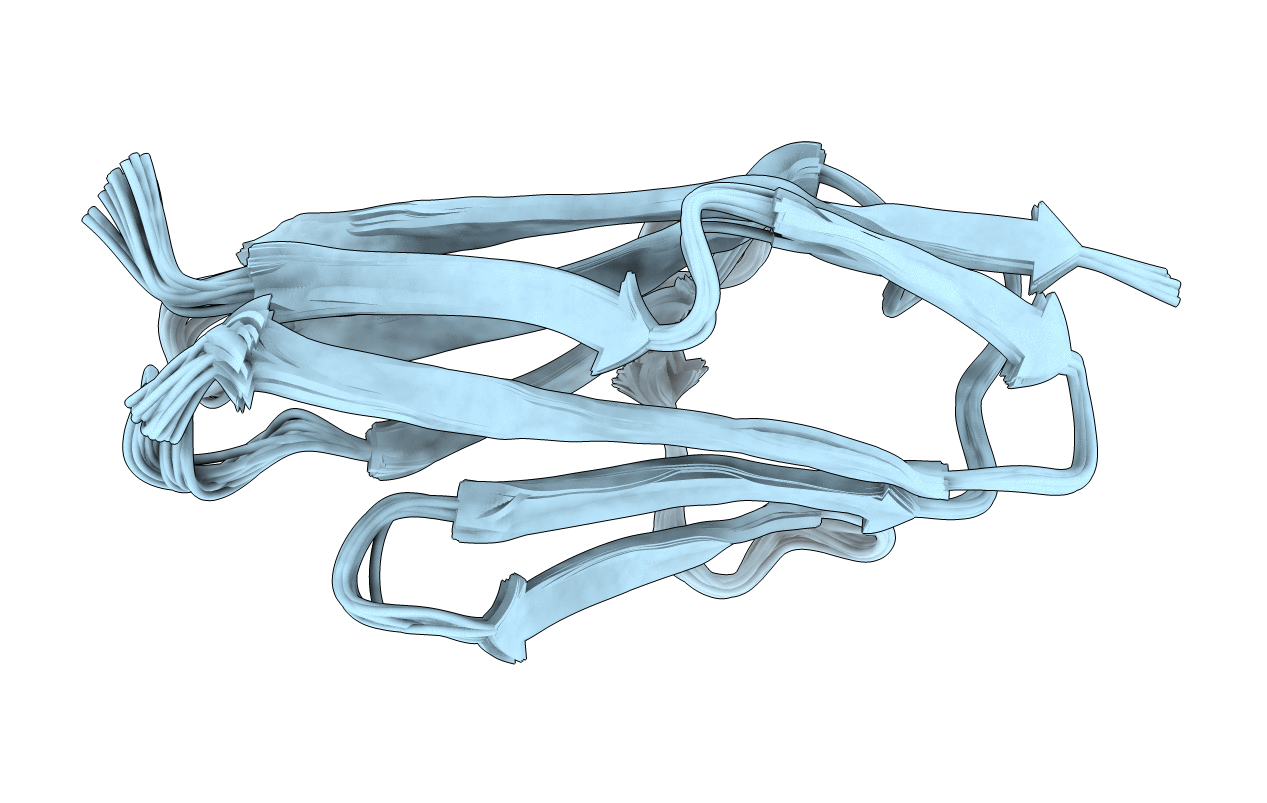 2NCM image