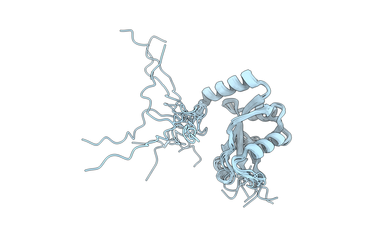 2NCN image