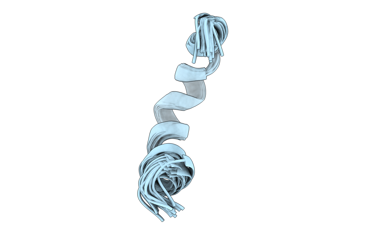 2NCW image
