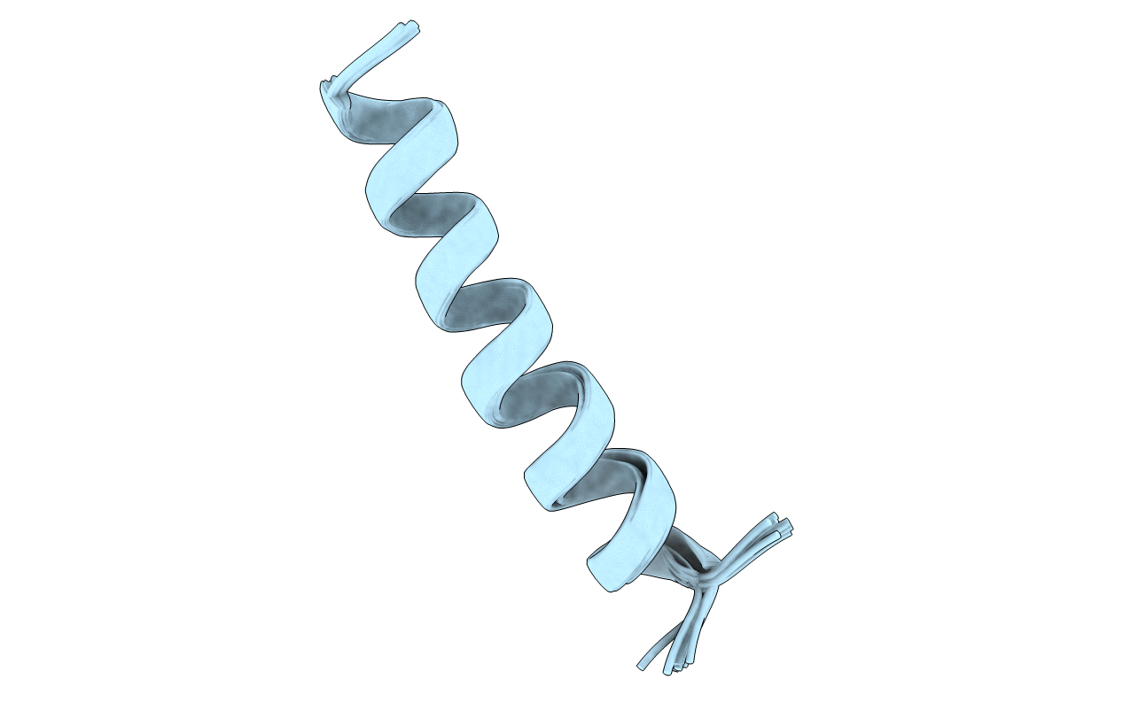 2NCX image