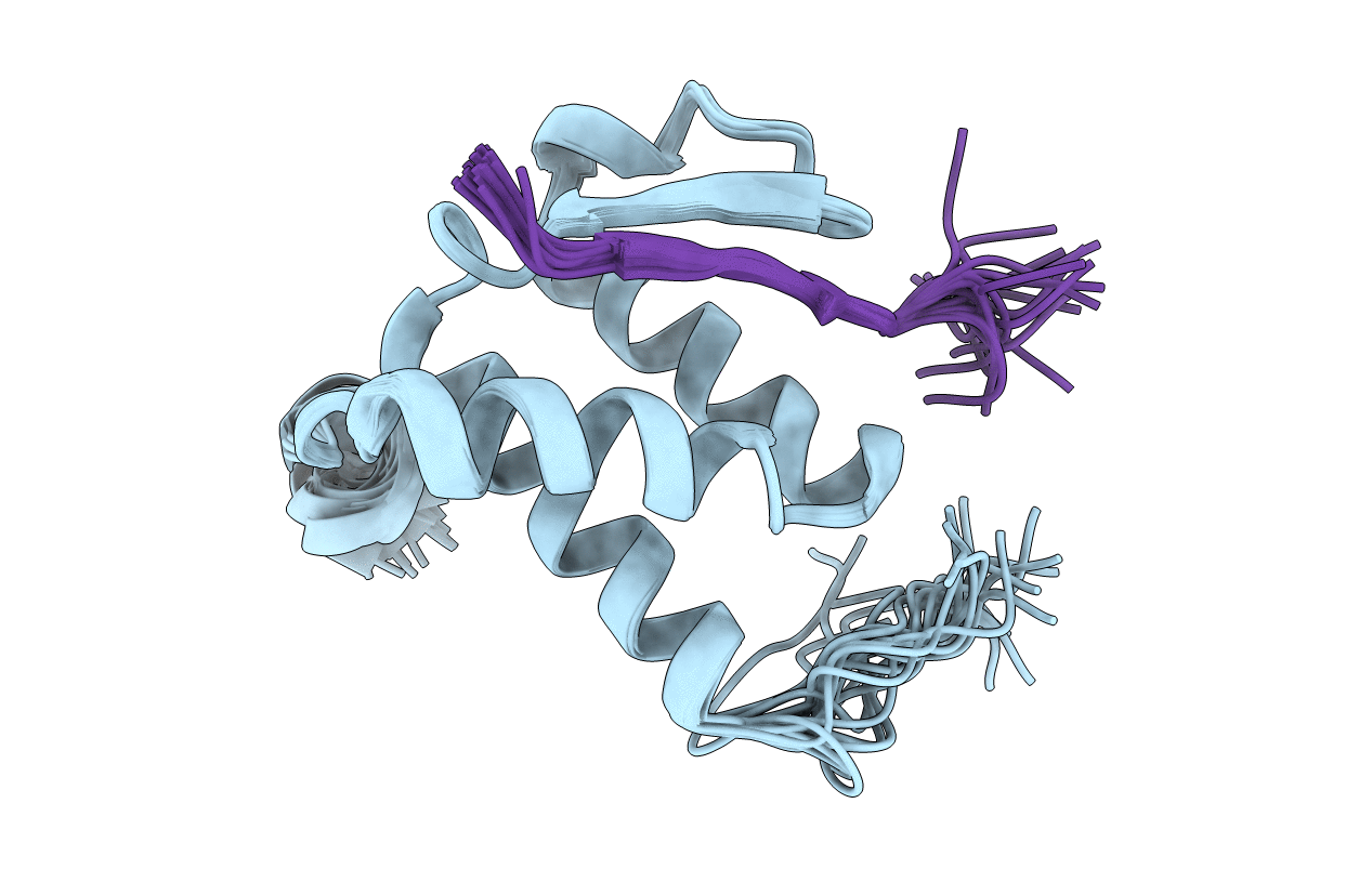 2NCZ image