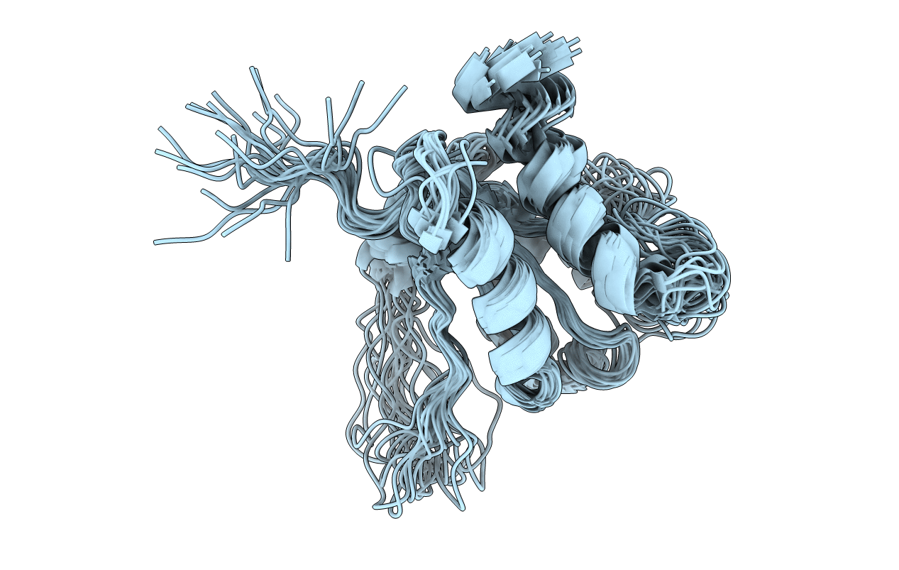 2NDH image