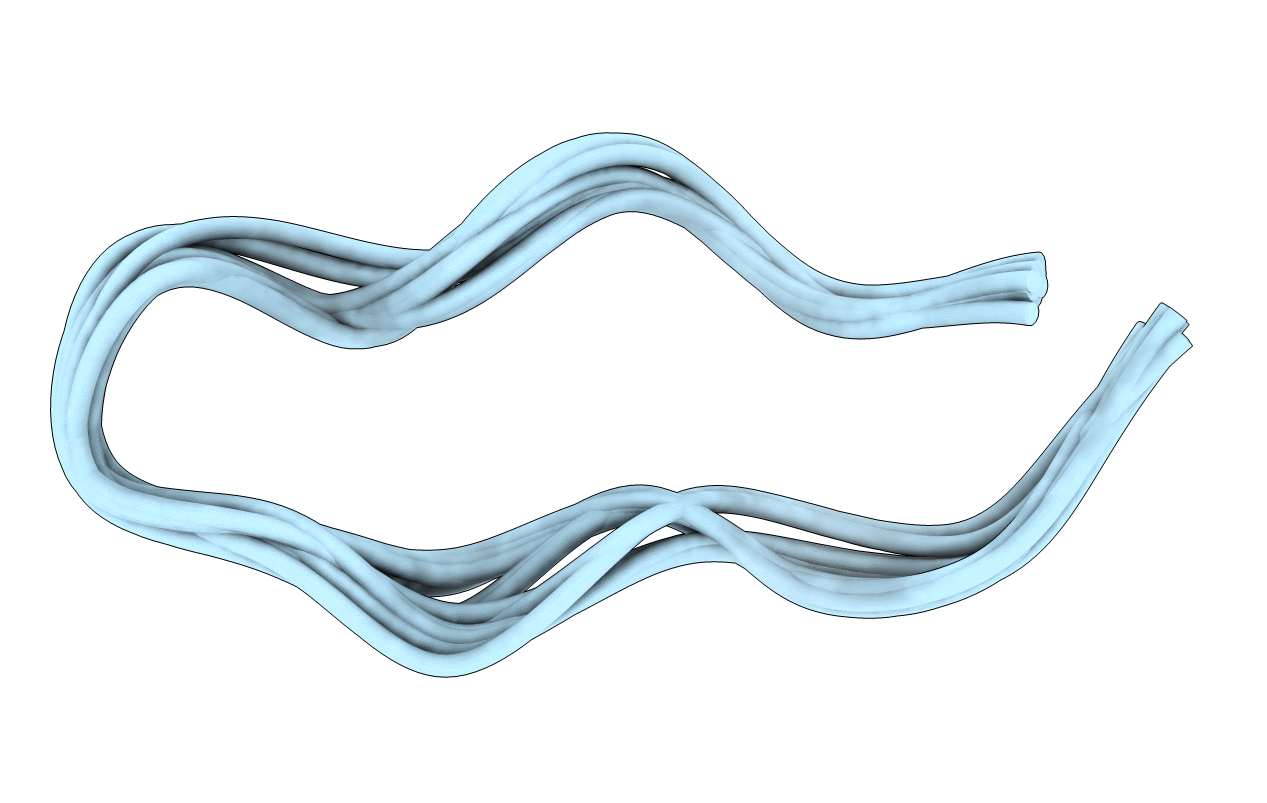 2NDM image