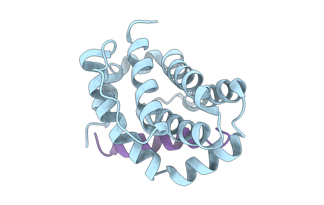 2NLA image