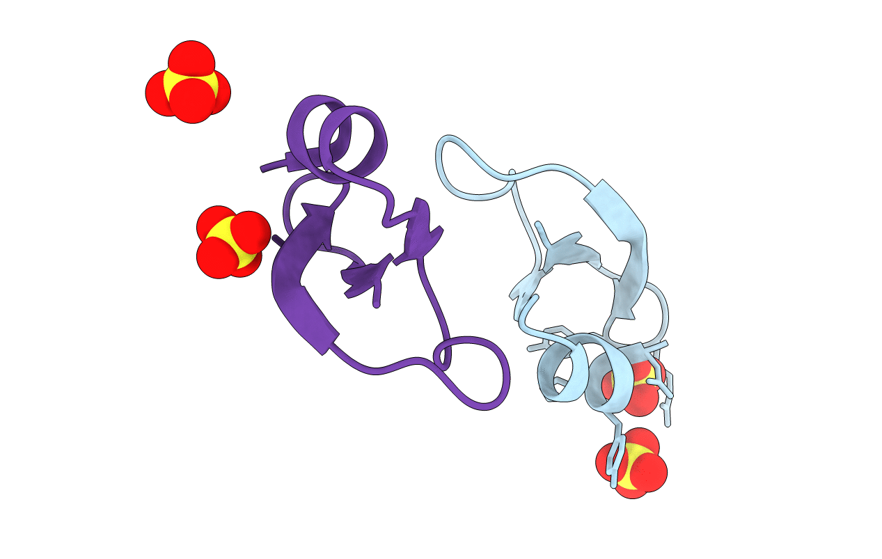 2NLF image
