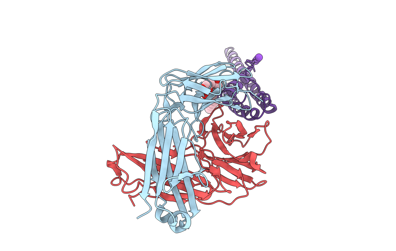 2NLJ image