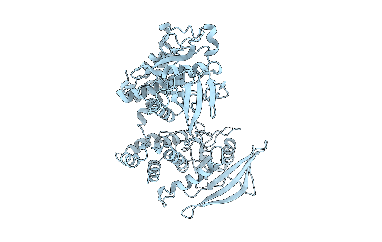 2NLK image