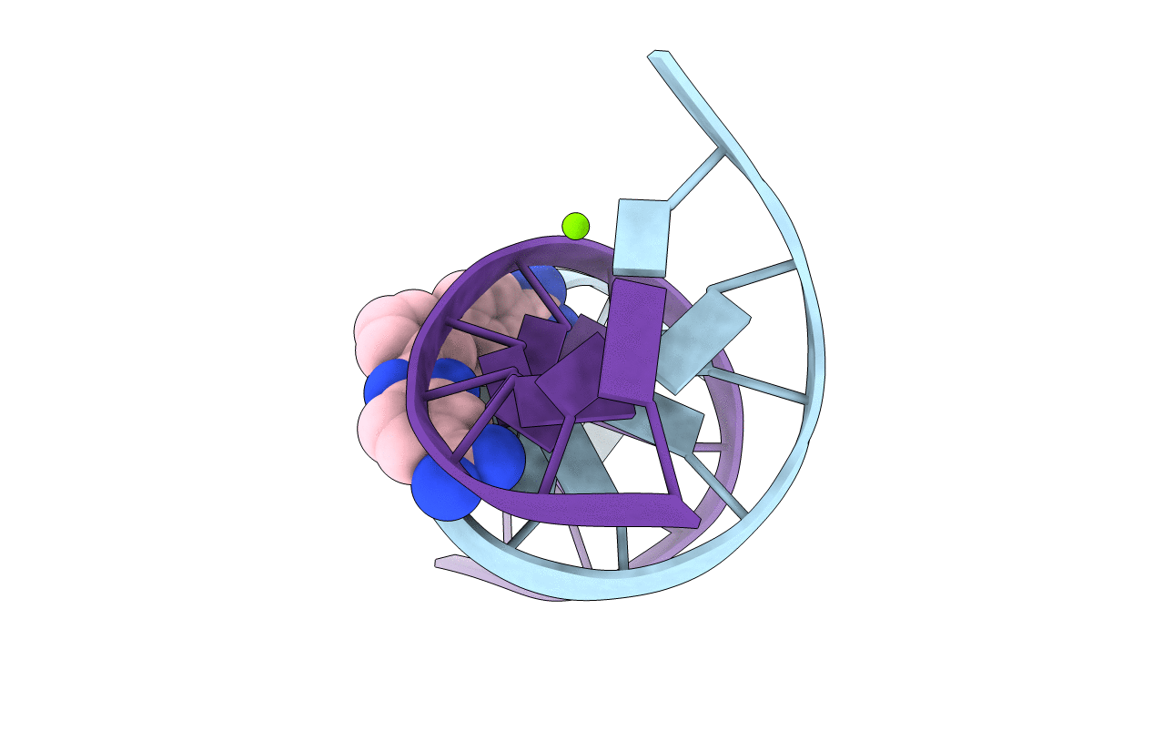 2NLM image