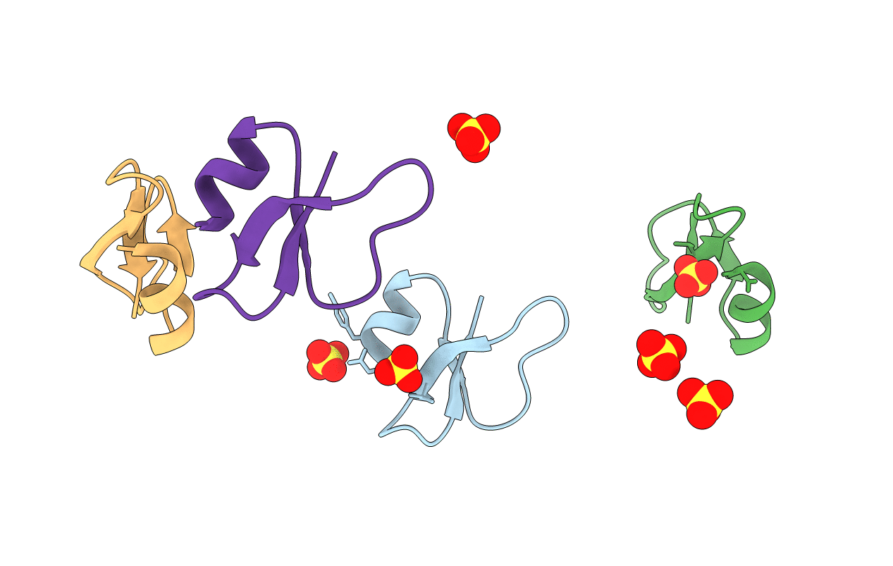 2NLP image